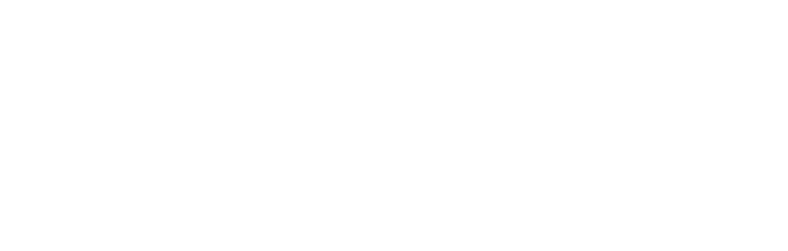 Global Solutions S&L
